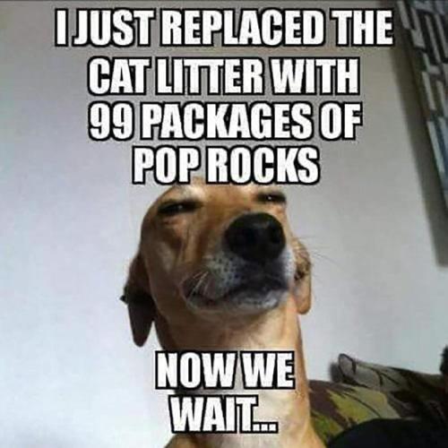 poprocks