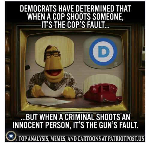 cop or criminal shooter