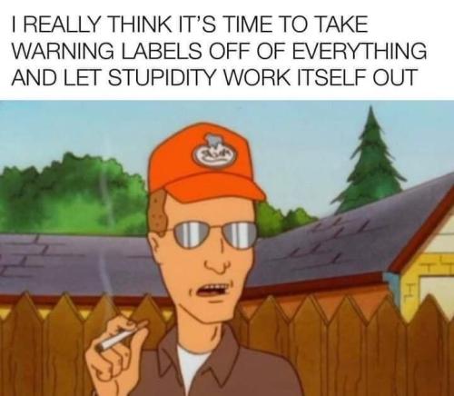 stupid