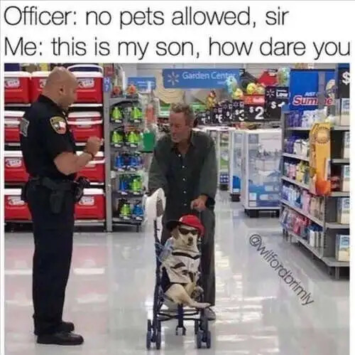 no-pets-allowed-dog-stroller-son.jpg