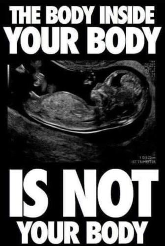 23DF35A5-0DA5-4A5A-9EE7-161748B6F6CF