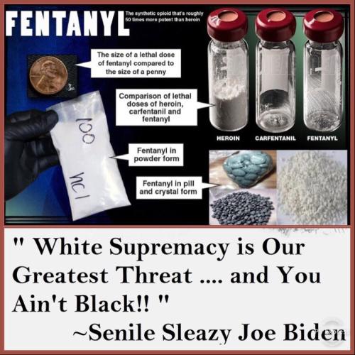 8026B419-109C-4C89-B4CD-F06979B6685F