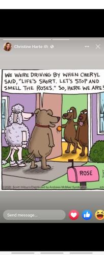 Screenshot_20220520-071017_Facebook