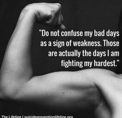 Screenshot_2019-02-11-05-56-29-1