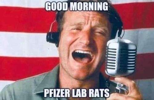 img - 2022-05-12T112249.438