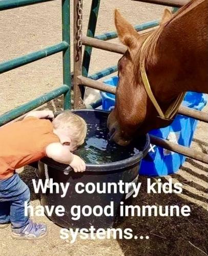 BB6BF00C-31E2-4976-B8B8-52E36378A371