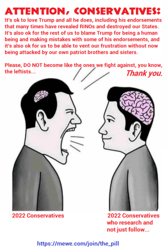 conservatives attacking others