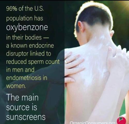 photo_2022-05-13_05-59-04