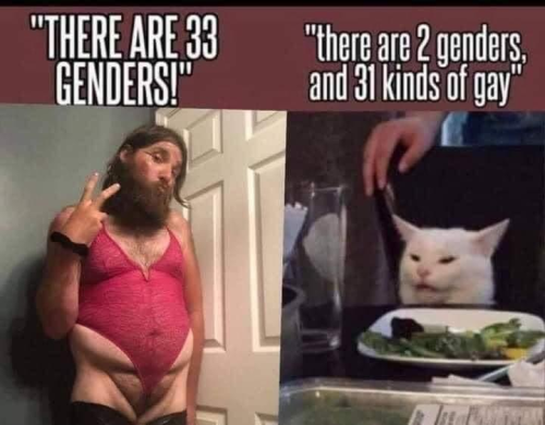 31 kinds of gay