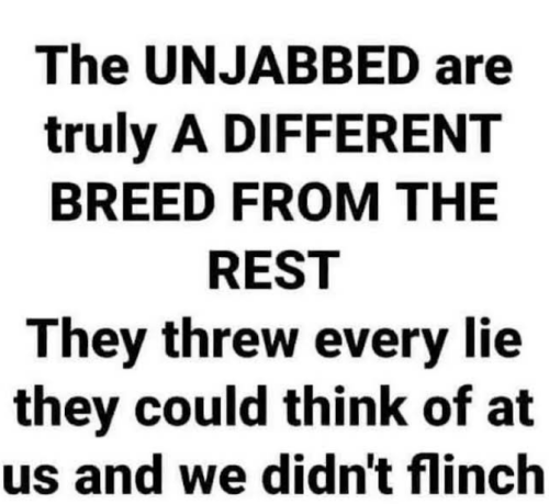 img - 2022-05-15T143758.851