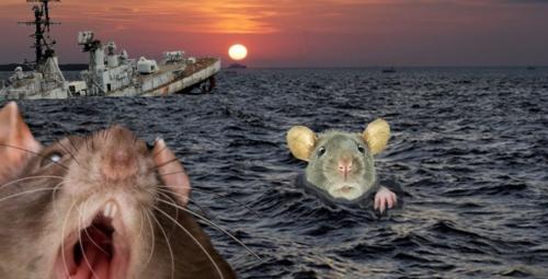 Screenshot_20220515-174645_Brave