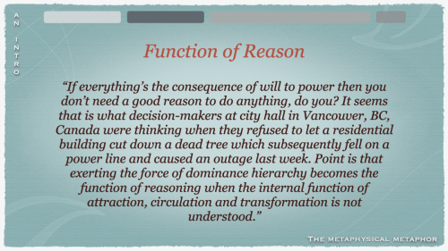 Screen Shot 2022-05-11 at 8.02.27 AM