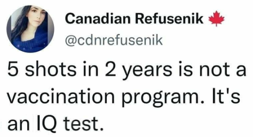 cf097fcd-cddb-43b7-8411-ea313c53fd05