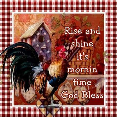 FB_IMG_1440327892556