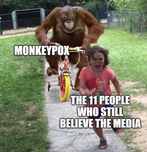 FB_IMG_1653230565771