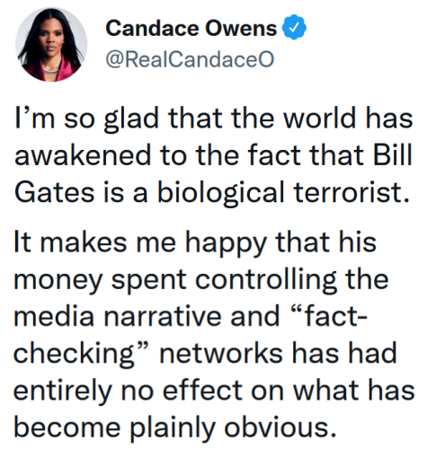 bill gates terrorsit