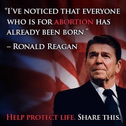 tumblr_e29d7d03fd6708e4f3084f6ca9bb294b_9a8f4de7_500