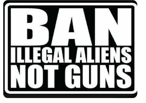 Ban Illegal Aliens