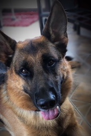 E9ECDC27-BF38-4B3A-A8F1-860517A97086