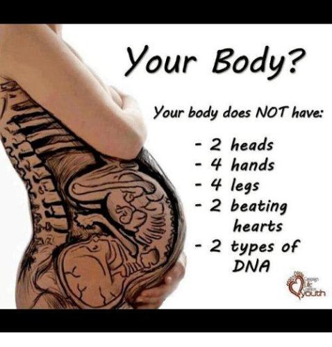 Your Body