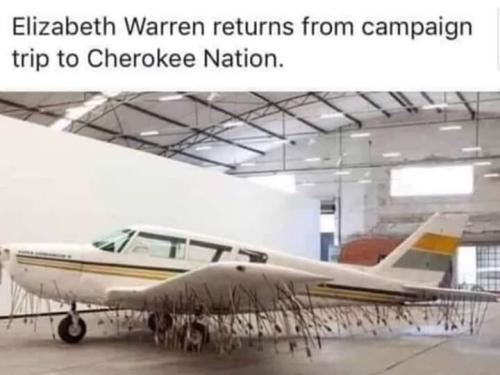 Liz Warren