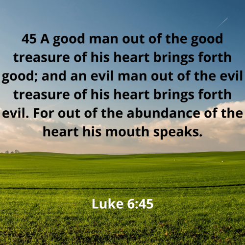 F47D6E899CB5A3AA62EFD9C82B9BCAAE.bible98-min