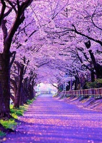 FB_IMG_1619008429117