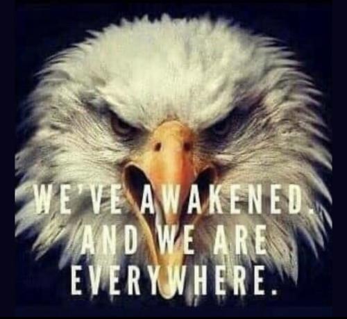 6D01DF0E-8661-47FF-BFF9-86510F28E4F2