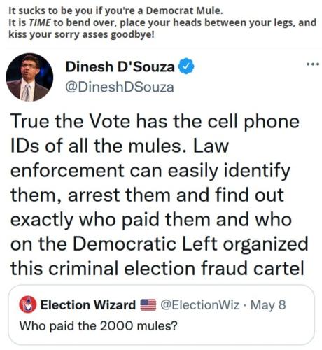 It sucks to be you if youre a Democrat Mule