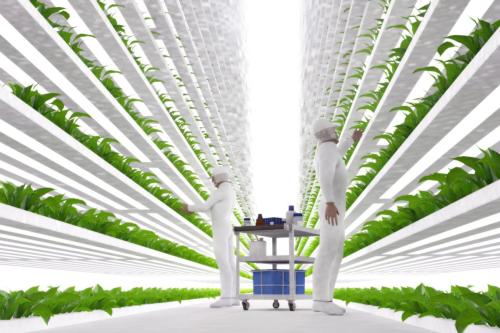 vertical-farm-1-1536x1024