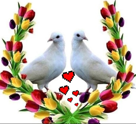 dee5e40bbeb78c4d6bf361afd6de2e0a_1024