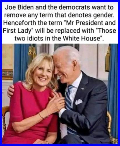 two idiots