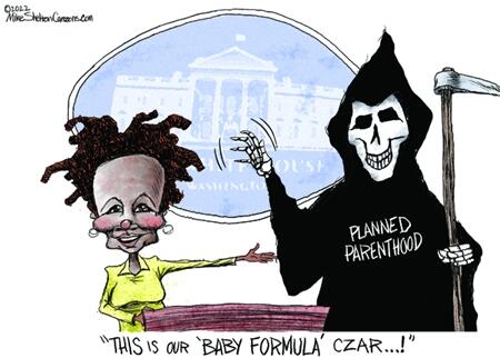 baby formula czar