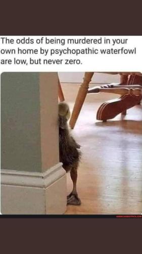 D9F9D5E3-DE24-4D86-80C2-20779464242D