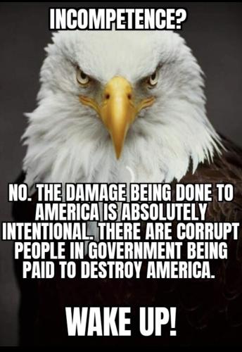 80C98FB9-2BDF-40D8-8150-5CB77F05B689