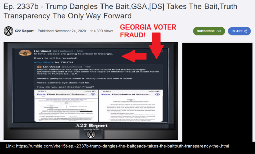 ga VOTER FRAUD X22 112420