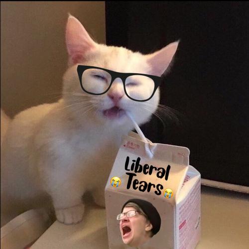 d96bac2b-5ea6-490c-ab6f-5a2af503dedc