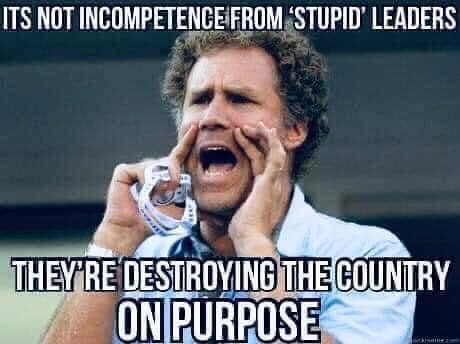OnPurpose