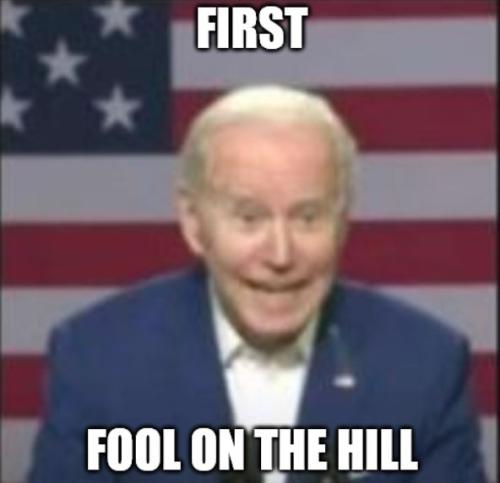 bidenfirstfoolwcap