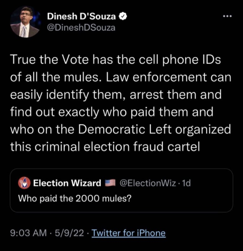 TRUE THE VOTE