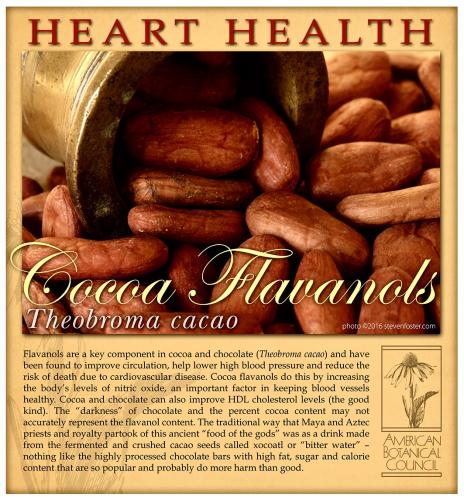 D1143983-B1FD-4F6D-AC93-52AA8CCEFDE8