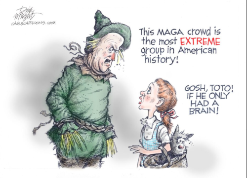 oz & a brain biden