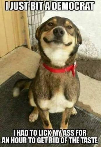 281654245_5592614340855607_6923432017753608449_n