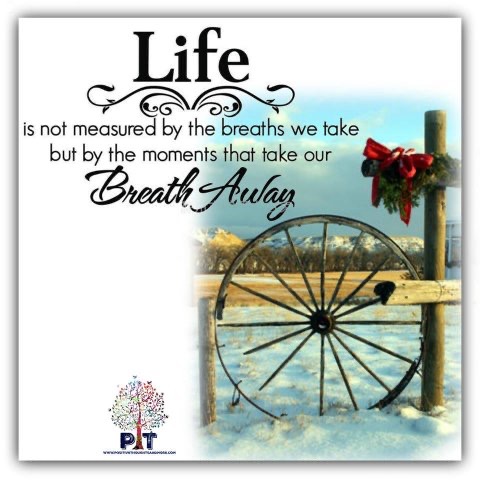 08674CD7-B39A-4314-9B95-28621EB8C408