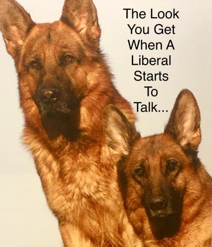 16BE9C72-0820-4483-8409-1AE2FF77133B