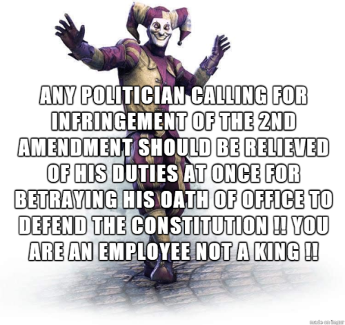 GunControl23