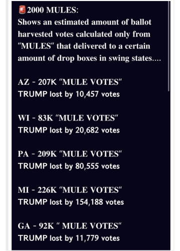 2000 MULE VOTES