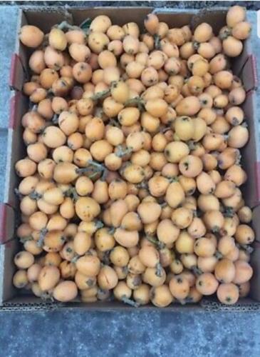 280552722_743110873542644_8377094832790085898_n