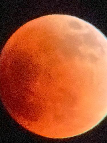 photo4904792046204726202