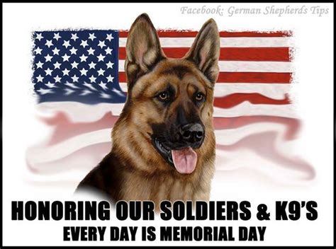 AA91550D-8A00-40D7-8B28-C468A840A841